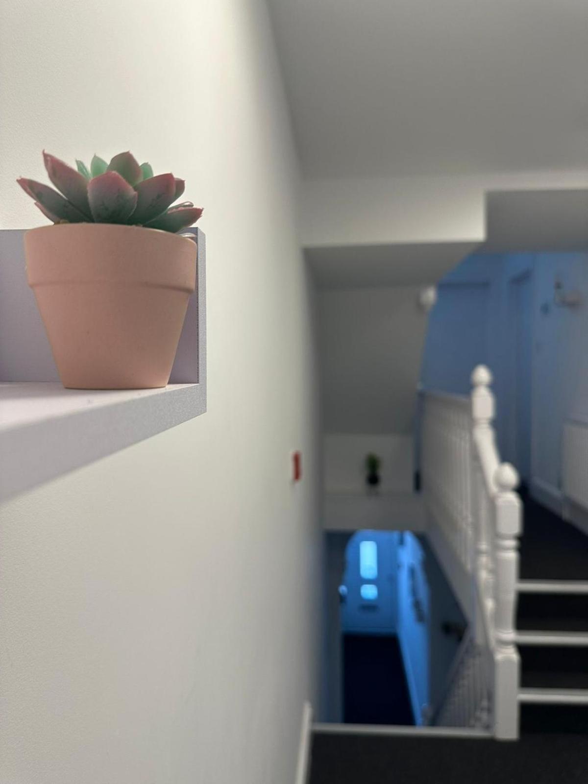 Cambridge Central Rooms - Tas Accommodations エクステリア 写真